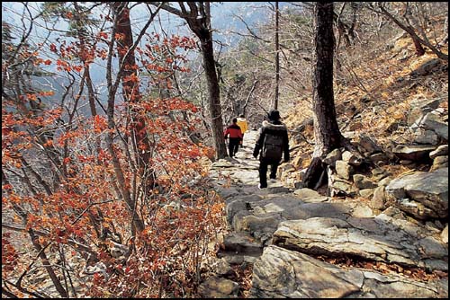 만물상 구역도 절반 이하의 산행로는 이처럼 순하고 곱다. 